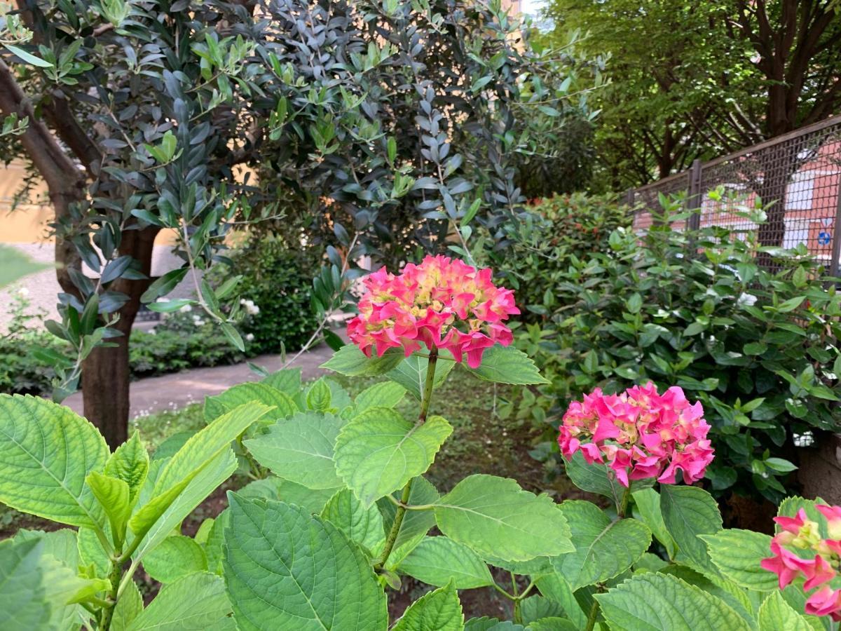 Appartamento Casa Beraldini Verona Esterno foto